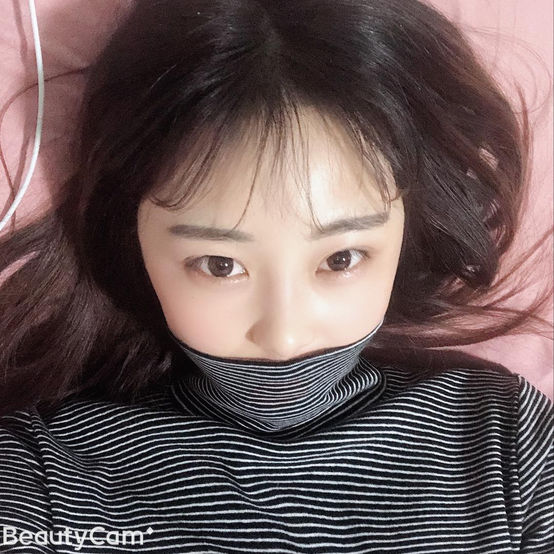 气派恶霸犬