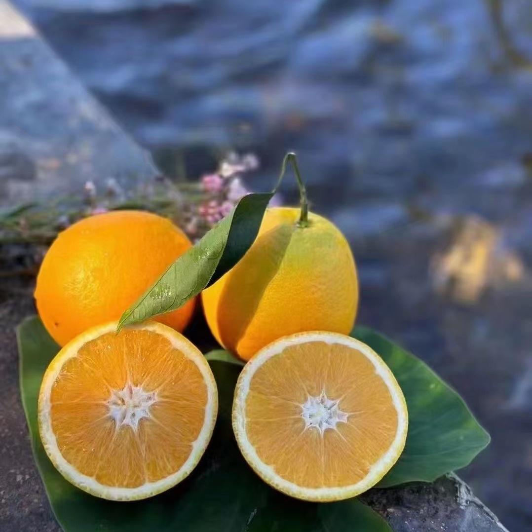 橙乡缘果业