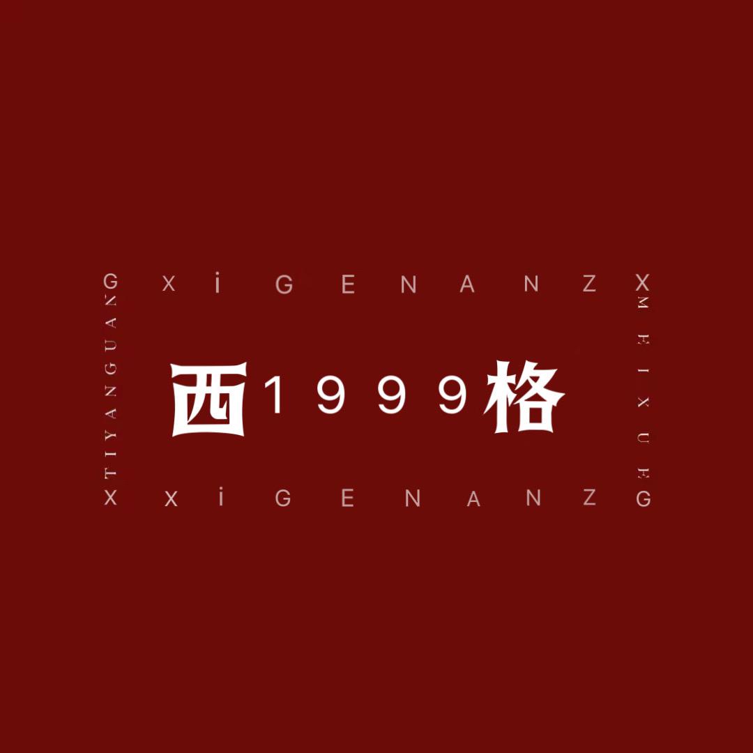 西格Xg