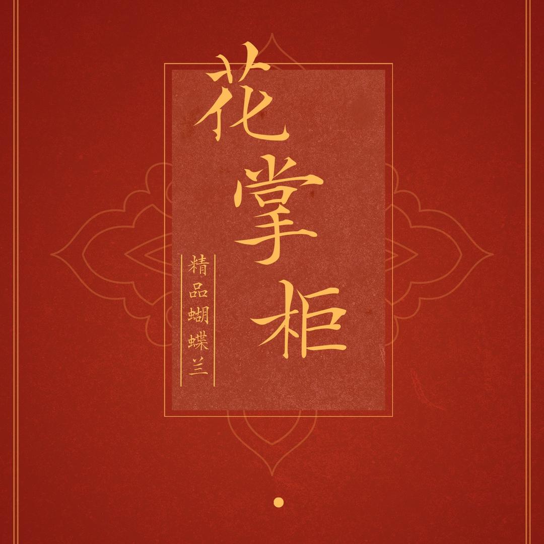 花掌柜精品蝴蝶兰