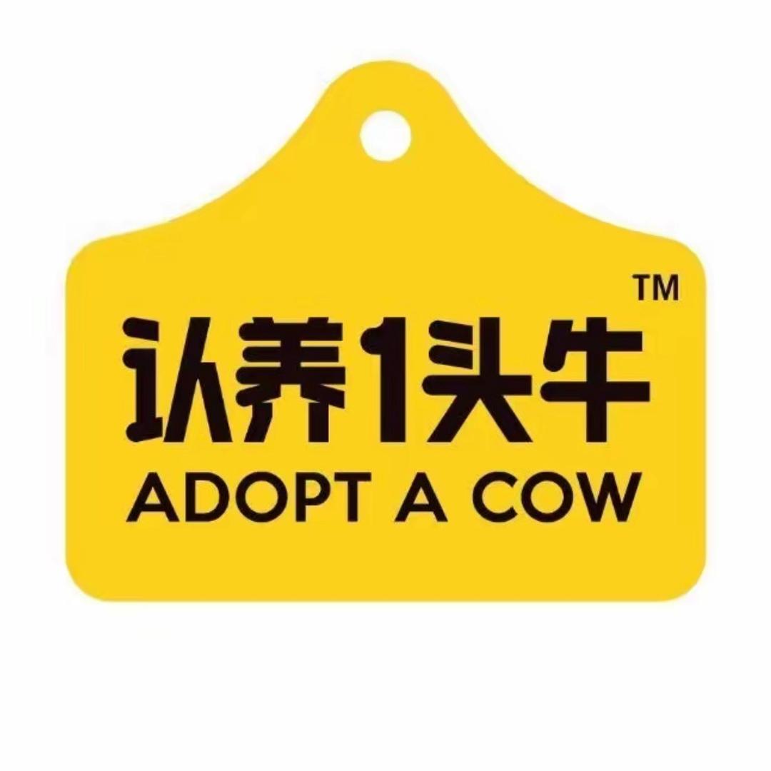 养一头牛a2纯牛奶