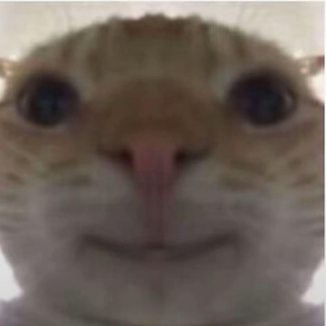 鼠鼠