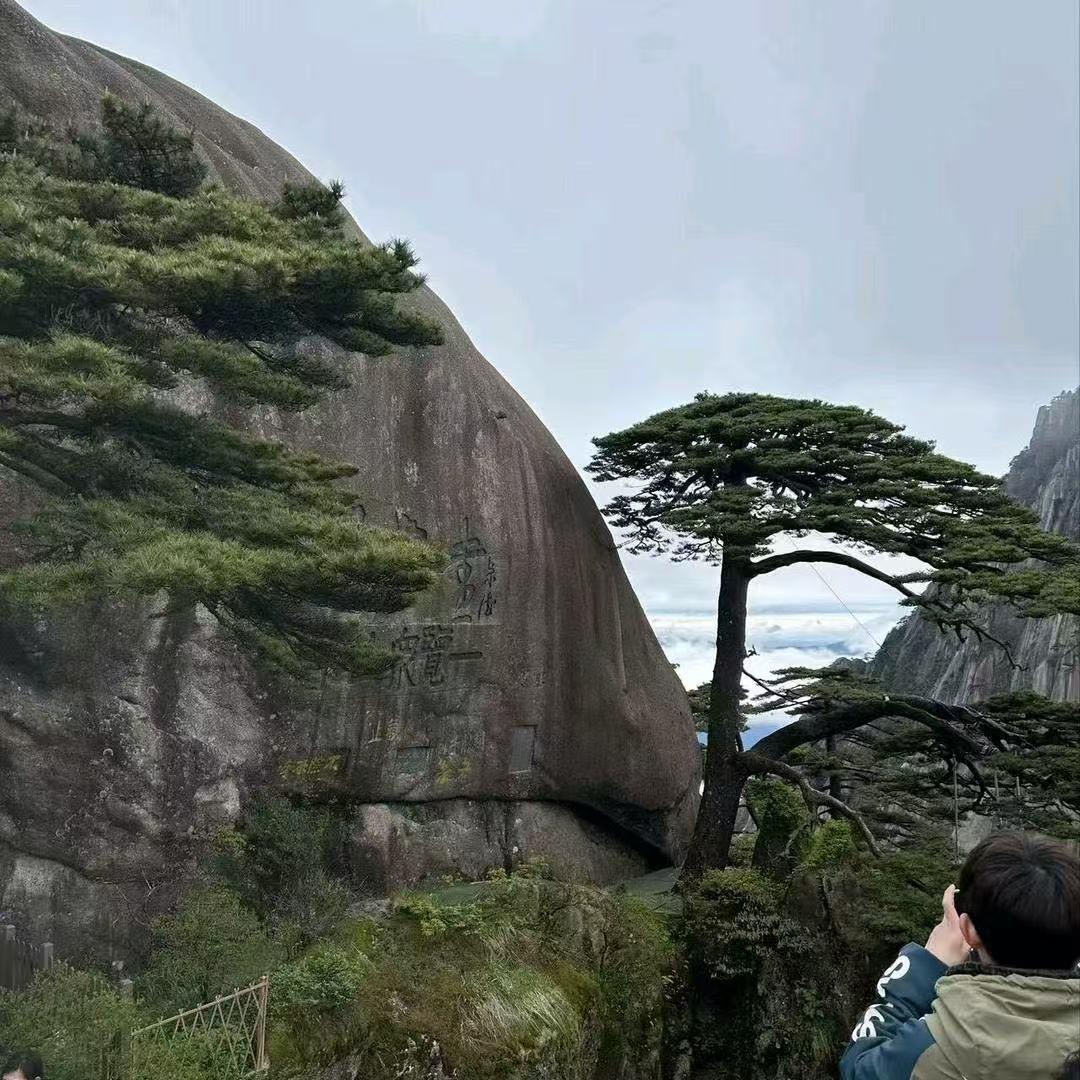 李馨网络商贸