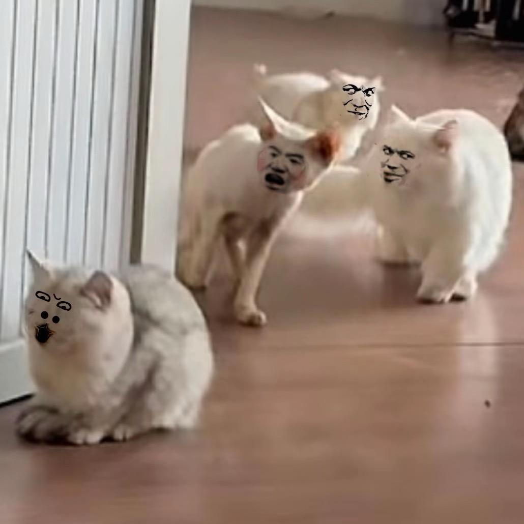 壹号