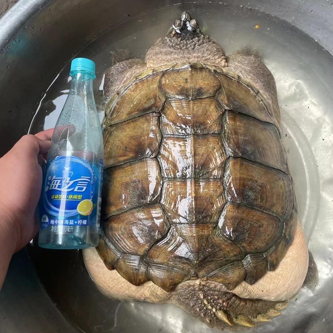 AAA土木建材批发余哥