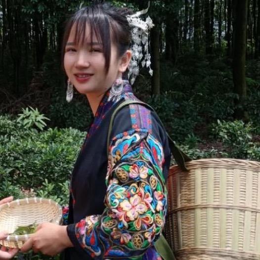 广东瑶族姑娘做茶业