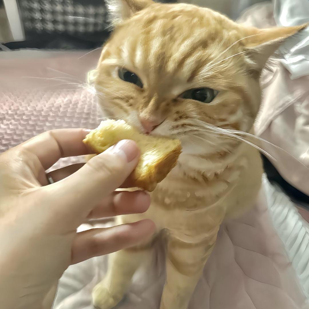 要喝八桶水