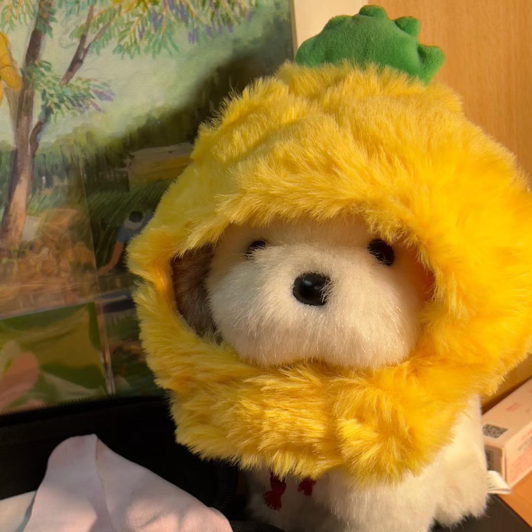 香香菠萝派🍍