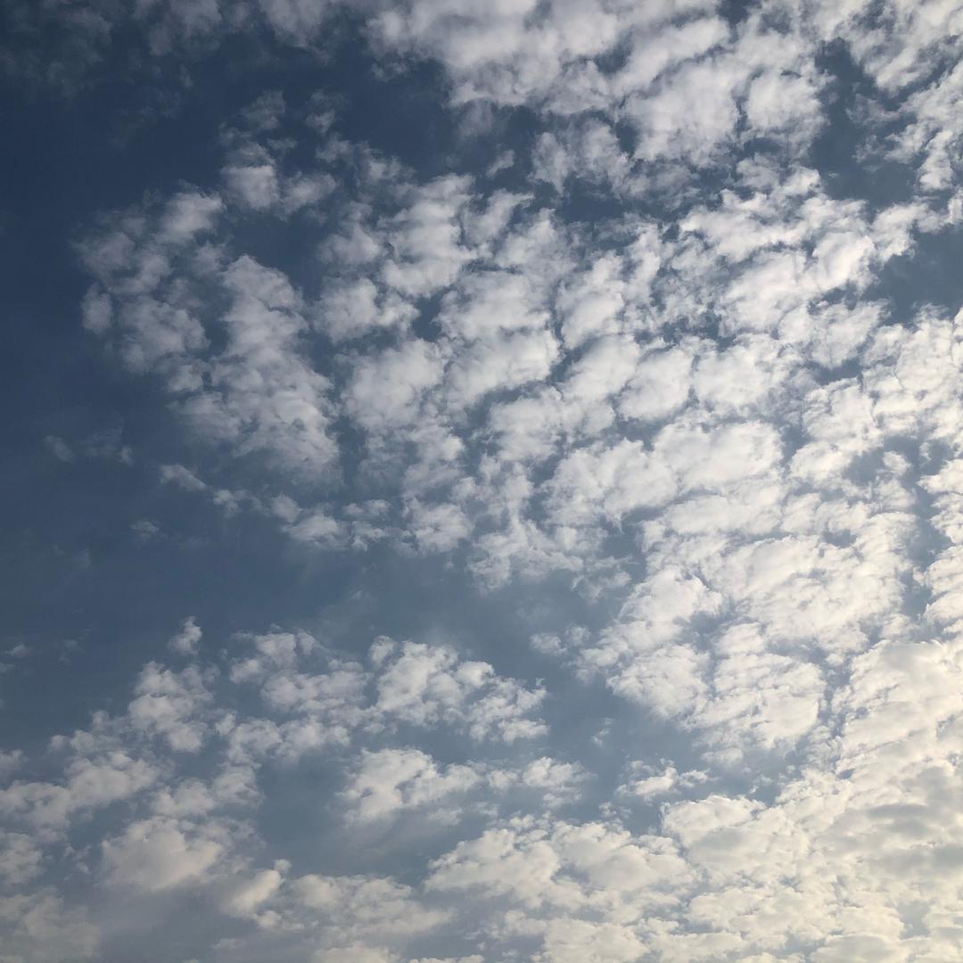 小能☀️