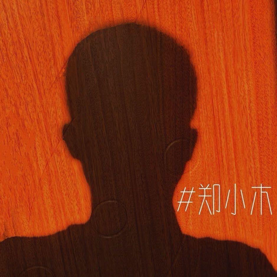 养猫的郑小木