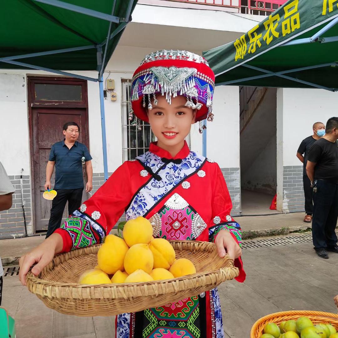 桃子妹农业
