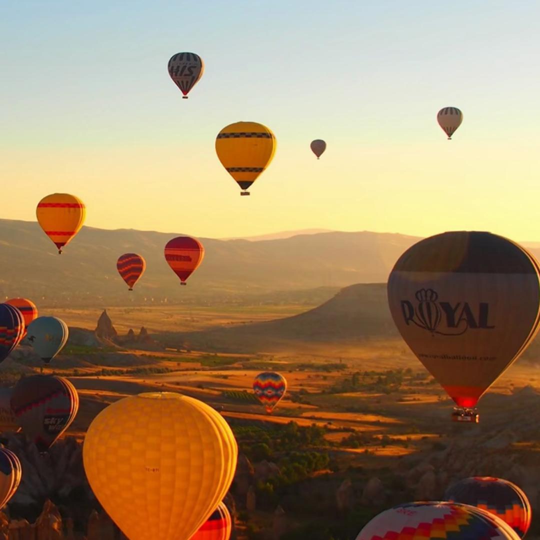 仙儿仙儿🧚‍♀️