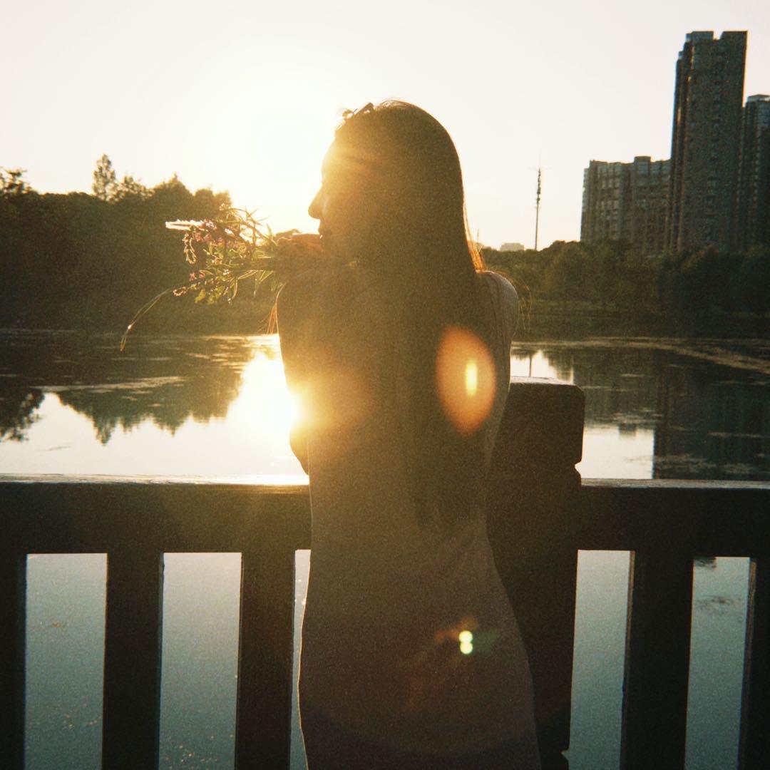 一只正在睡觉的树懒