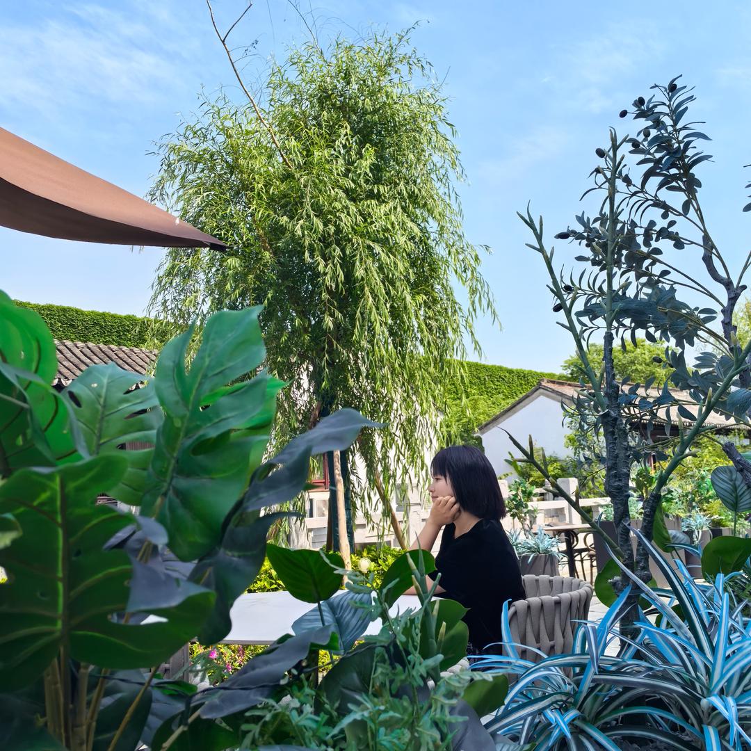 小镇菇凉