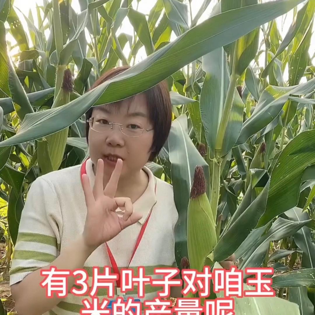 吴老师说农业
