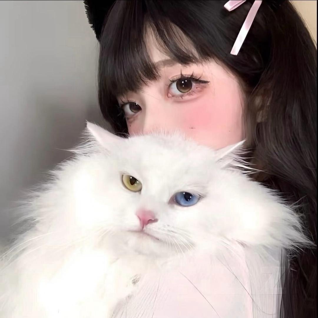 爱吃鱼的猫🌈