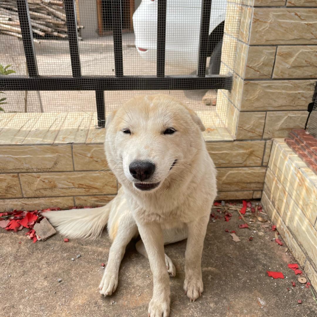 妃妃子和小啰啰