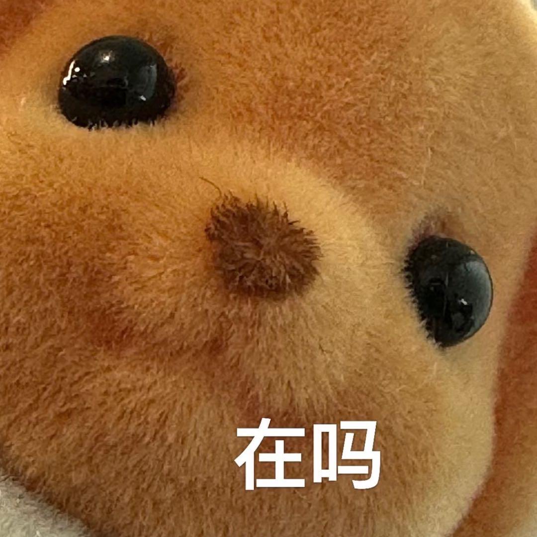 五更起床干饭🍚