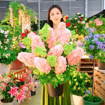 蓁蓁绿植花屋