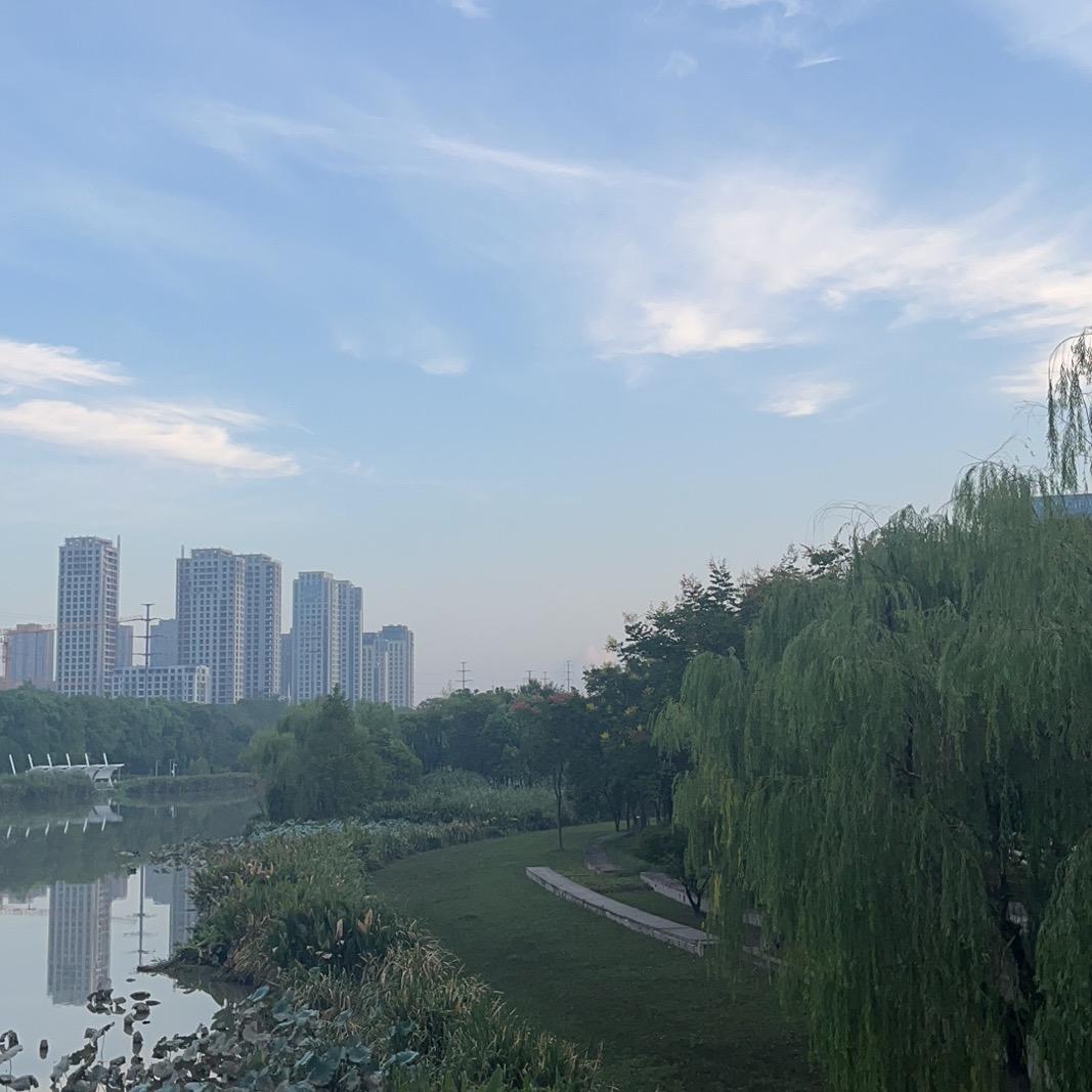 养小鱼儿的花菇凉