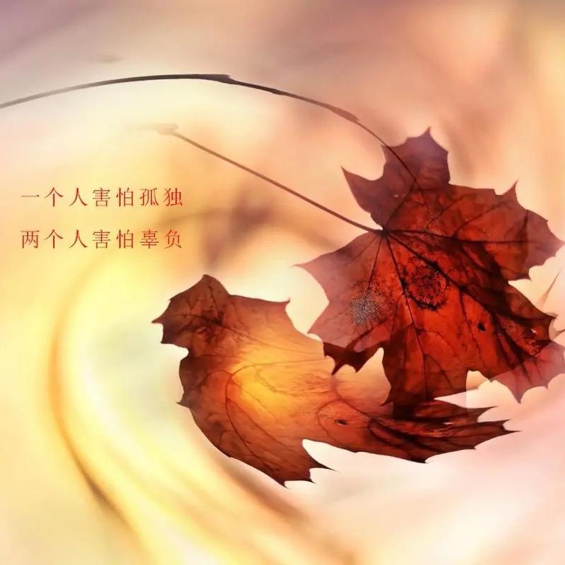 小辣椒