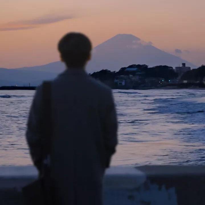 凫青             ╲