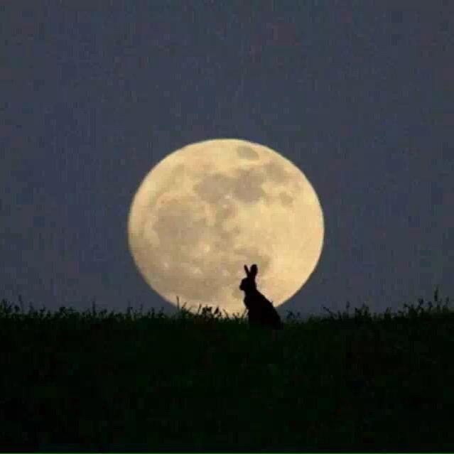 军