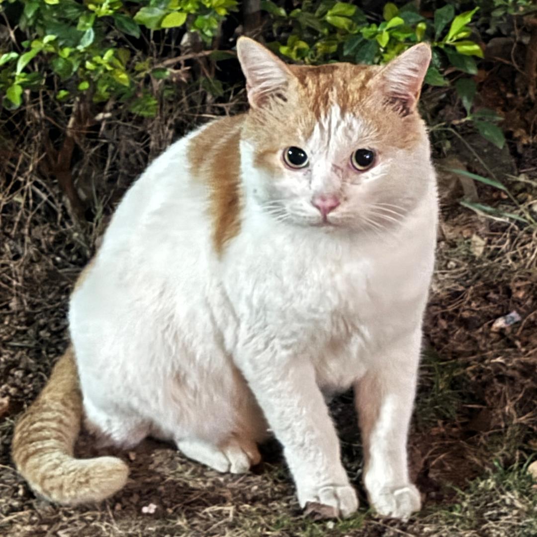 𝗠𝗮𝗸𝗮𝗯𝗮𝗸𝗮