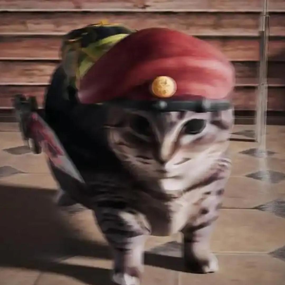 胜利（暗区突围）