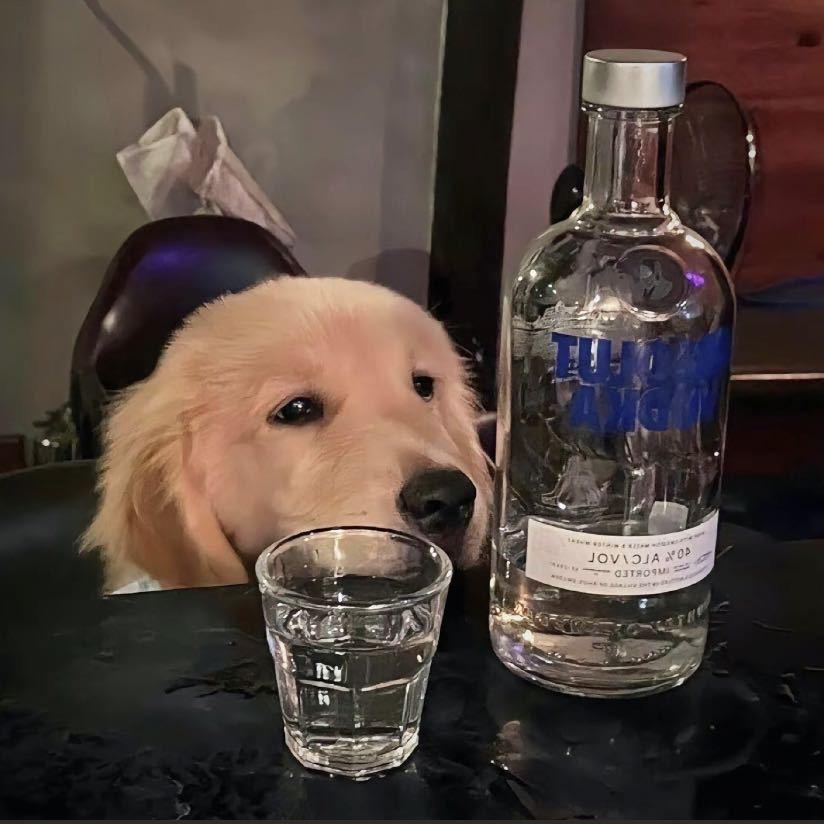 我是你的二狗老师