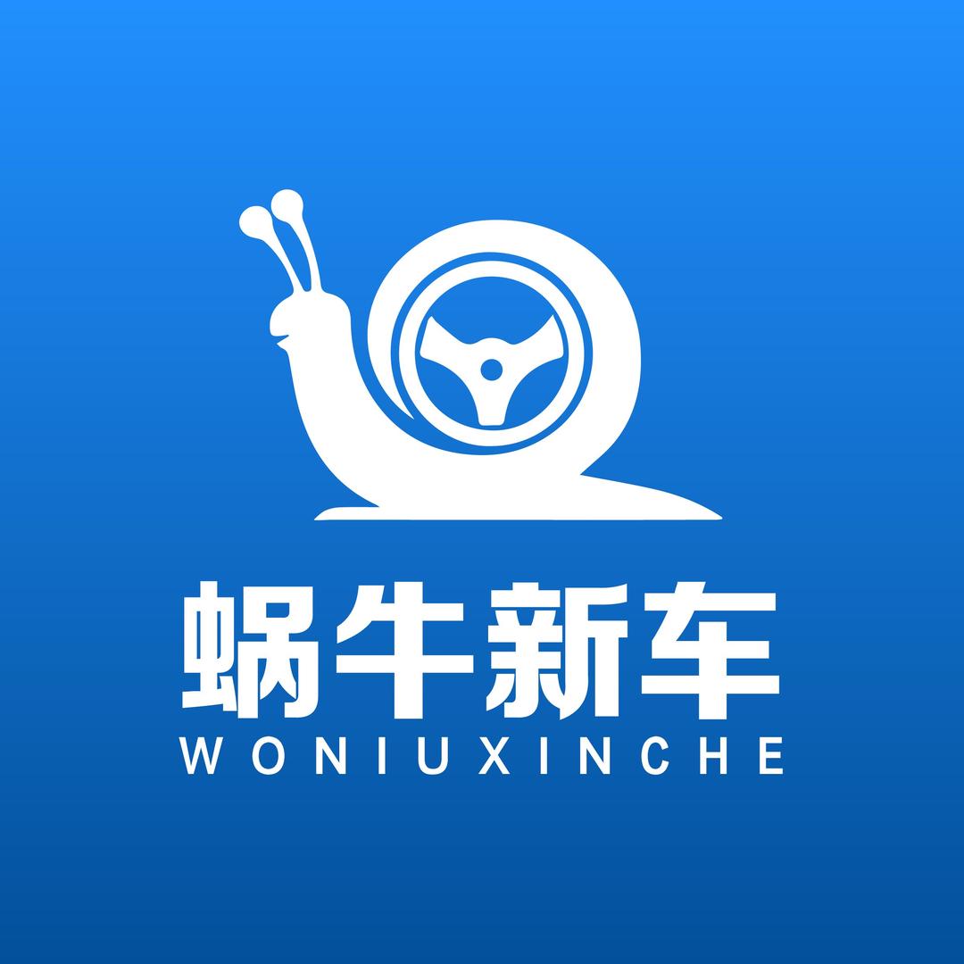 潍坊蜗牛新车 1