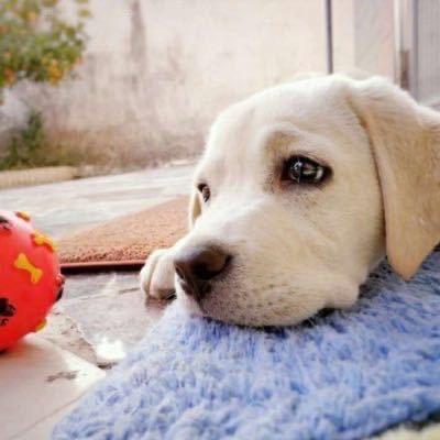 ╭ァ親、俄們牽手の幸福