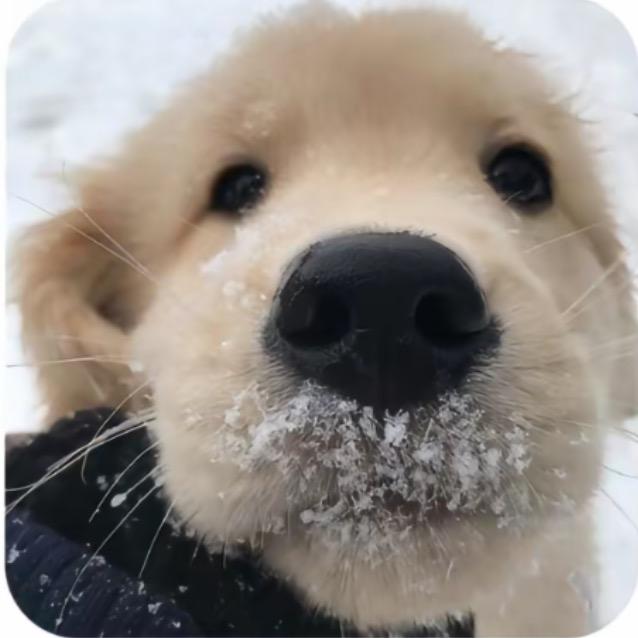 ooo..