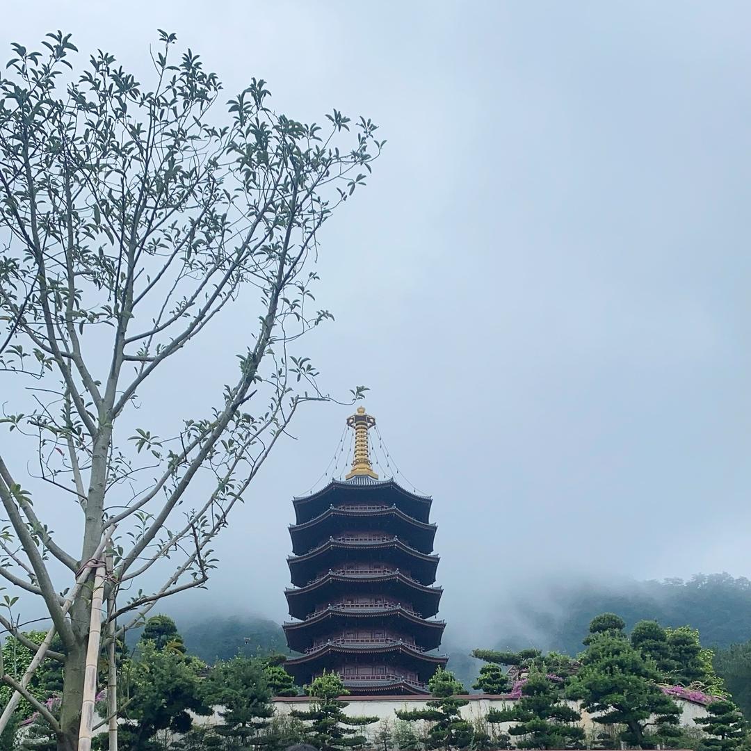 上善若水_CC