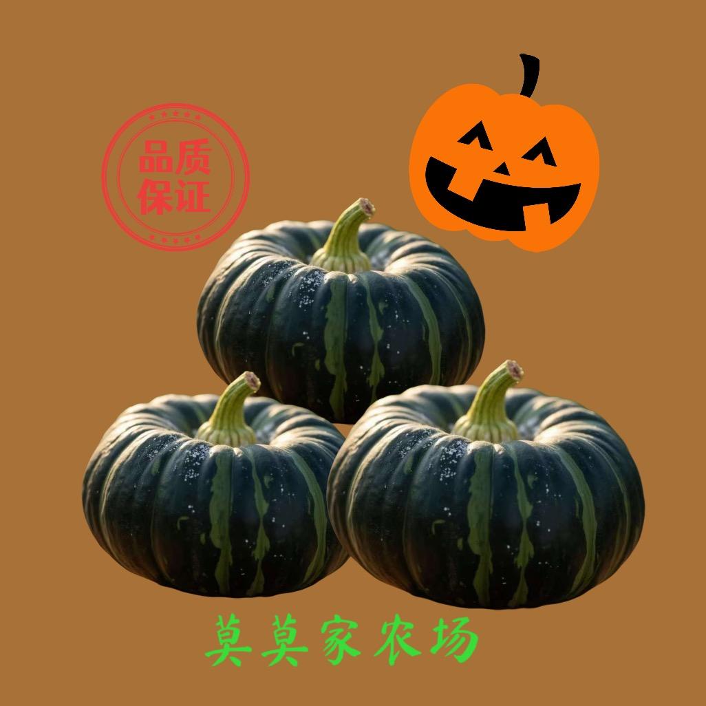 莫莫家农场