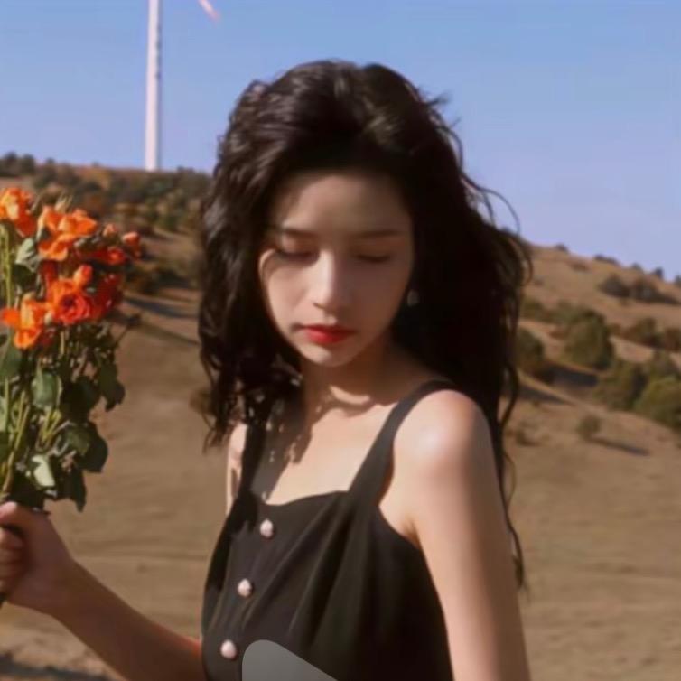 枯枝上的黑乌鸦