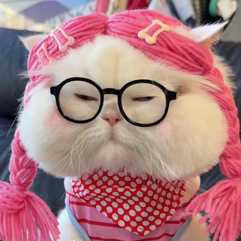 小喵软糖🍬