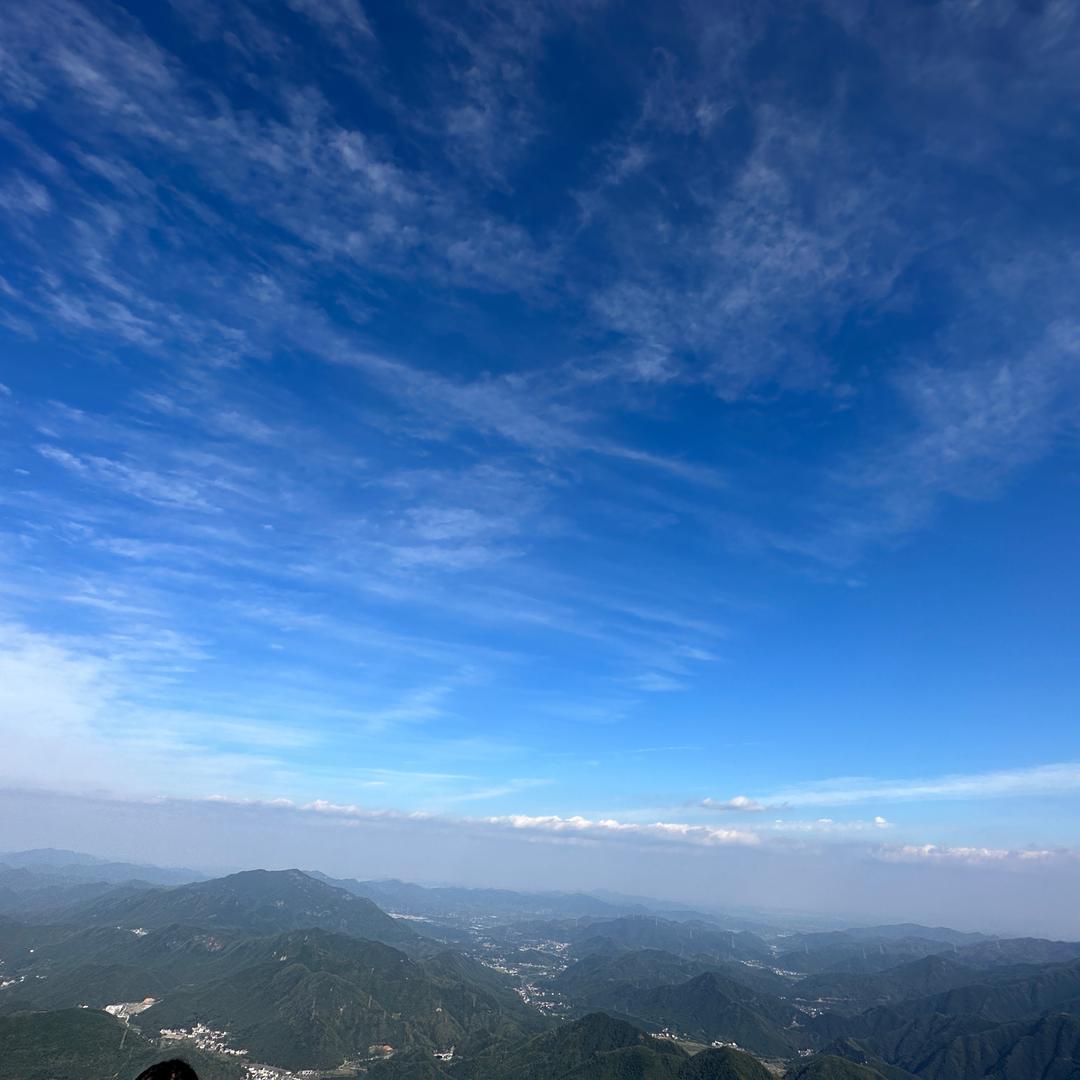 鸿展包装