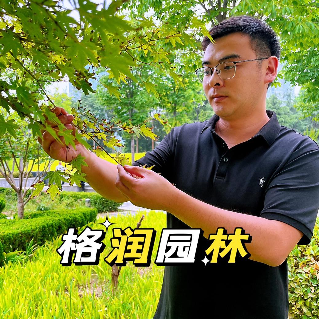劳恩格润园林养护谷师傅