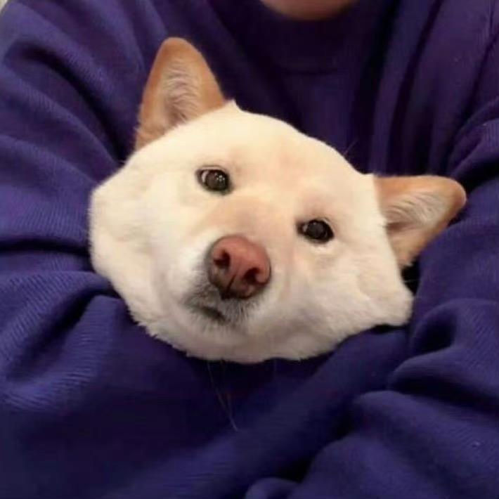 重生之我在做房地产