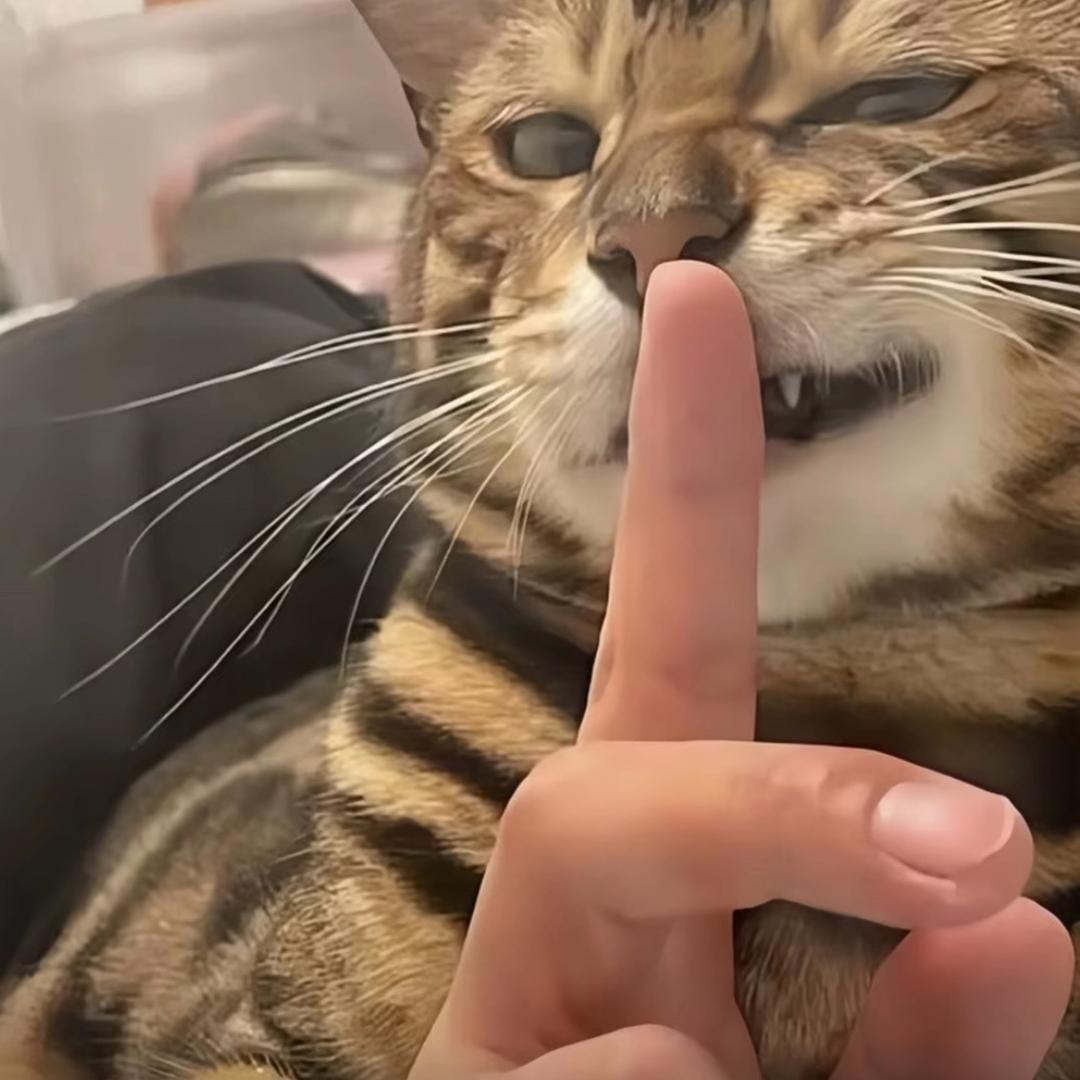 抗拒