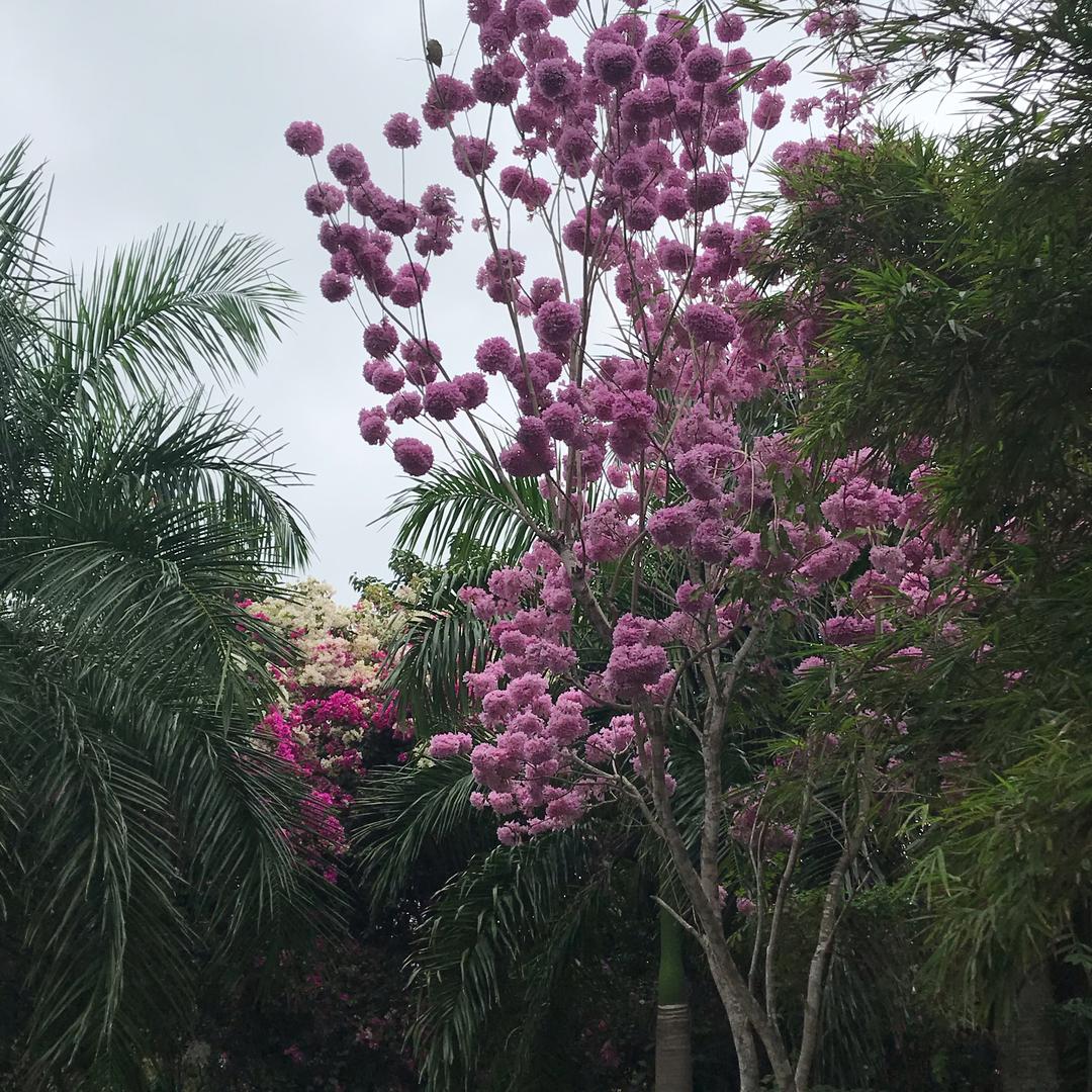 烟雨江南