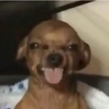 文熏熏