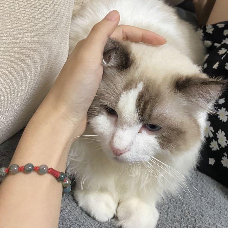 不开心就去吃饭