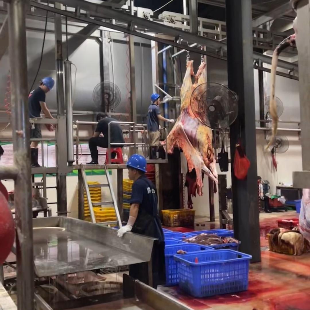 新鲜牛杂牛腩批发（牛肠直供）