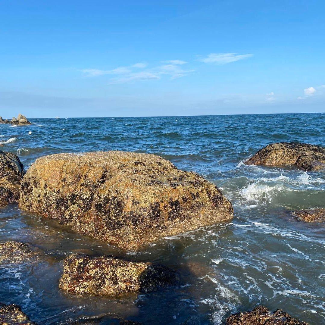 暂无文案👧🏻