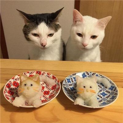 糯米爱团购