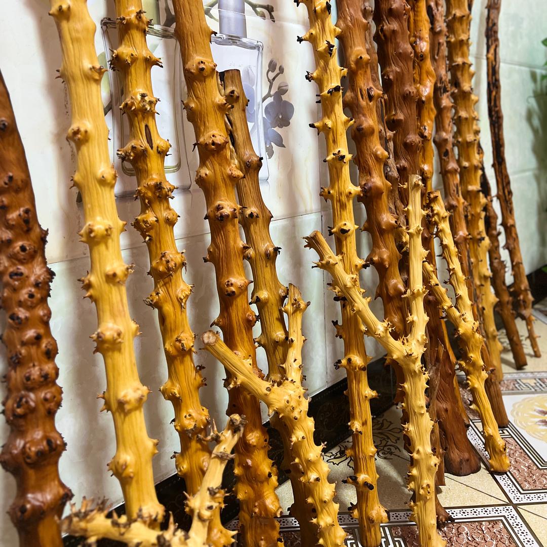 文玩南对节精选