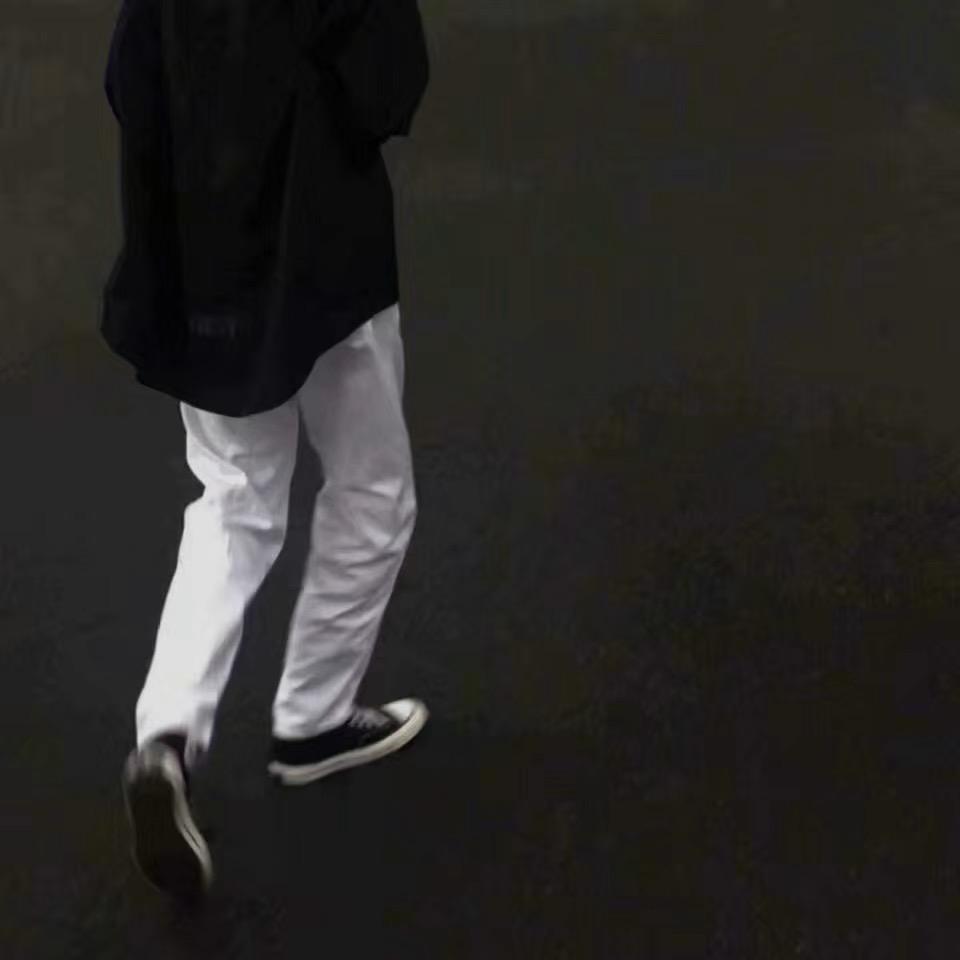 彬彬乏了（11.13🎂