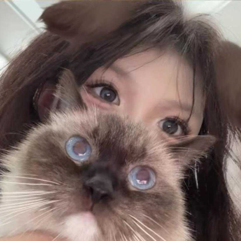 一只鱼.^